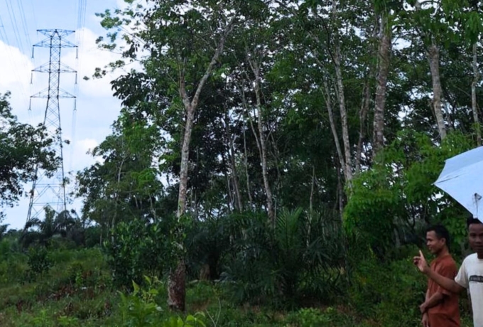 Dukung Penghijauan di Bawah Jalur Transmisi, PLN Serahkan Ribuan Bibit Tanaman Produktif di Desa Talang Gedabu