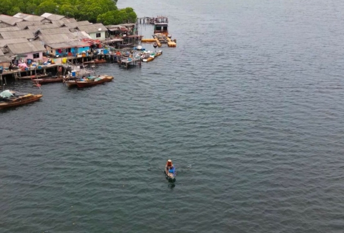 Jaga Kelestarian Lingkungan, PLN Dukung Pengelolaan Ekosistem Mangrove di Bintan