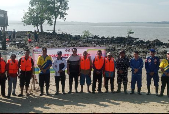 Bupati  Iskandarsyah Bersama KSOP Karimun Tanam Mangrove dan Bagikan Life Jacket