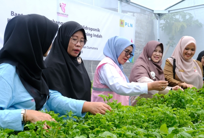 PLN UIP3B Sumatera Wujudkan Pemberdayaan Perempuan Melalui Green House Hidroponik KWT Kemuning Indah