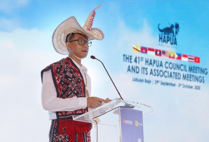 PLN Dorong Interkoneksi ASEAN Power Grid untuk Akselerasi Transisi Energi Bersih