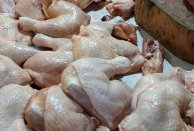 Harga Ayam Potong di Inhil Meroket, Diduga Kartel Perusahaan Peternakan Mainkan Harga