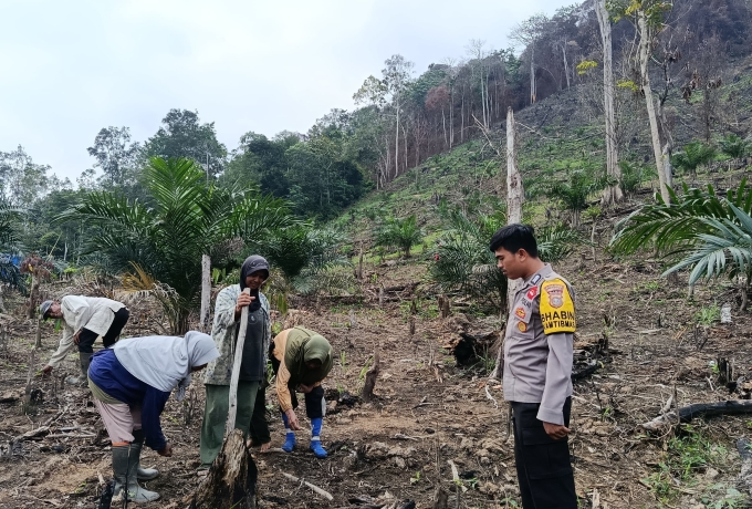 Kapolsek Bangkinang Barat Pimpin Penanaman Jagung, Dorong Ketahanan Pangan di Kampar