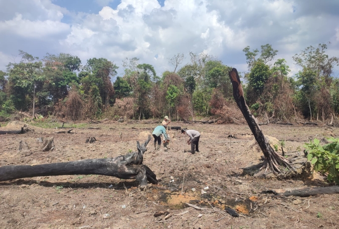 Polsek Bangkinang Barat Gencarkan Kebun Ketahanan Pangan, Seluruh Desa Ditarget Miliki Lahan Percontohan