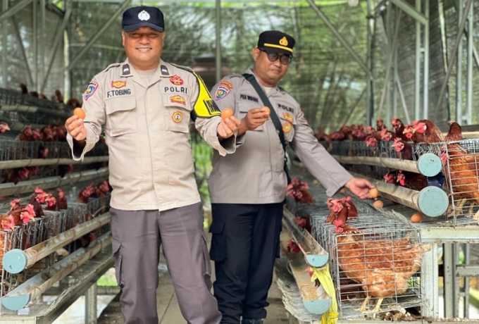Polsek Lirik Tinjau Peternakan Ayam Petelur Binaan, Dukung Ketahanan Pangan Nasional