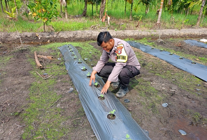 Rutin Mendampingi Warga, Briptu Pirima Kawal Ketahanan Pangan Dari Akar Rumput