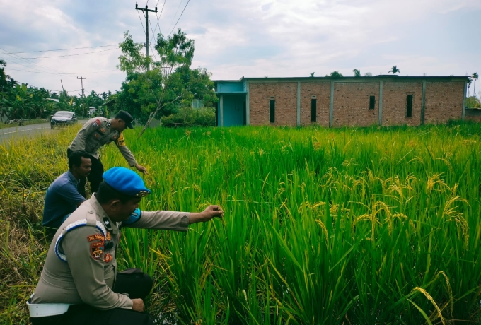 Polsek Tempuling Aktif Dukung Program Swasembada Ketahanan Pangan Polda Riau