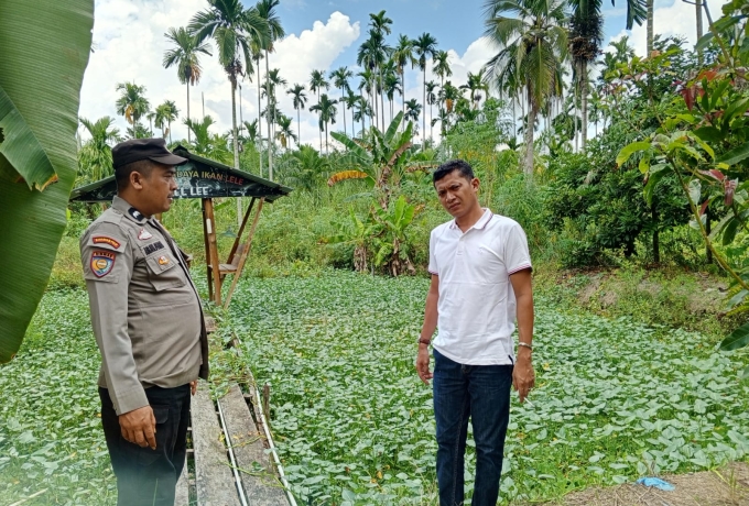 Dukung Ketahanan Pangan, Bhabinkamtibmas Kotabaru Seberida Cek Budidaya Ikan Lele Warga