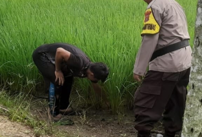 Aiptu Agus Riyono Dampingi Petani Alimudin, Polsek Keritang Gerakkan Ketahanan Pangan dari Parit Sulawesi