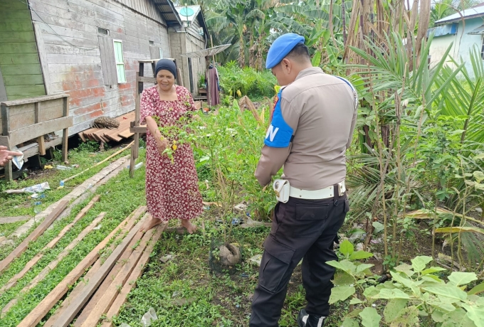 Polsek Enok Sinergi dengan Warga Jl Veteran, Kawal Ketahanan Pangan dari Sayur hingga Serai