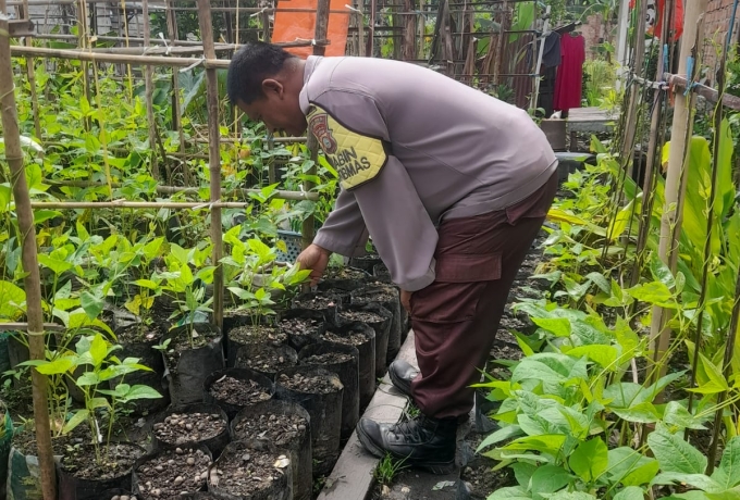 Dukung Swasembada Pangan, Kapolsek Keritang Lewat Bhabinkamtibmas Sambangi Petani Sayur di Pengalihan