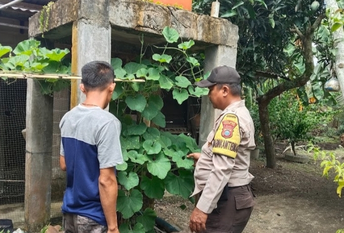 Bripka Heru Susanto Turun ke Jl Negara, Pekarangan Bagan Jaya Dikebut Produktifitasnya