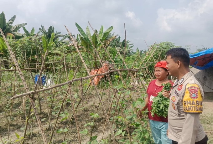Bhabinkamtibmas Desa Petalongan Sambangi Kebun Cabai Warga, Dukung Program Ketahanan Pangan