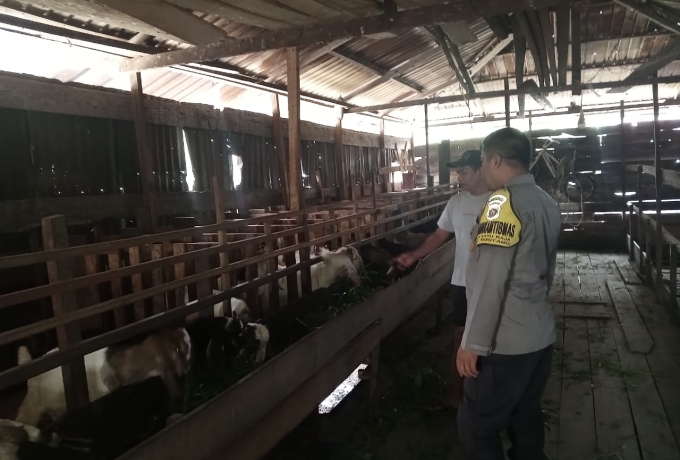 Parit 3 Darat Jadi Bukti Sinergi Polri dan Warga Jaga Swasembada Daging
