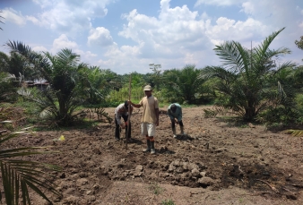 Dukung Asta Cita Presiden, Polsek Bangkinang Barat Gencarkan Penanaman Jagung di Kuok