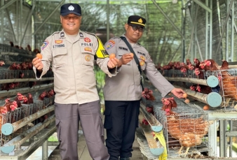 Polsek Lirik Tinjau Peternakan Ayam Petelur Binaan, Dukung Ketahanan Pangan Nasional