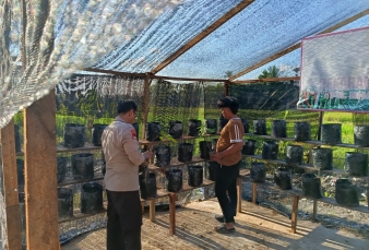 Bank Pohon Jadi Sahabat Petani, Polsek Keritang Tanam Kelengkeng Dan Matoa Untuk Kedaulatan Pangan