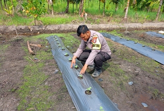 Rutin Mendampingi Warga, Briptu Pirima Kawal Ketahanan Pangan Dari Akar Rumput