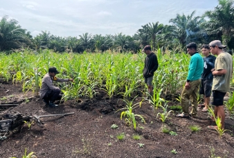 Polri Kawal Ketahanan Pangan, Jagung Desa Rambaian Dipastikan Tumbuh Optimal