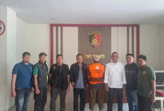 Pembalakan Liar di Habitat Harimau Sumatera, Pria di Inhil Ditangkap Gakkum Kehutanan