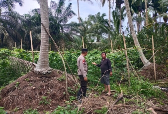 AKP Yosi Marlius: Di Sela Kacang Panjang, Tumbuh Harapan Dan Kemandirian Bangsa