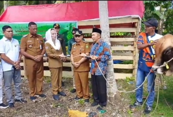 Sapi Kurban Presiden Tiba di Pulau Terluar Natuna, Cen Sui Lan : Warga Perbatasan Harus Ikut Merasakan Kebahagiaan! 
