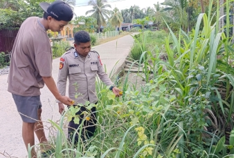 Sinergi Polisi dan Petani di Enok Dorong Ketahanan Pangan