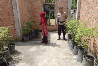 Bripka Erwin Kawal Pekarangan Produktif Sencalang