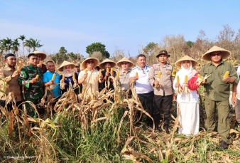 Wagub Nyanyang Panen Bersama Poktan Bintan Jaya, Dorong Penguatan Pertanian Kepri